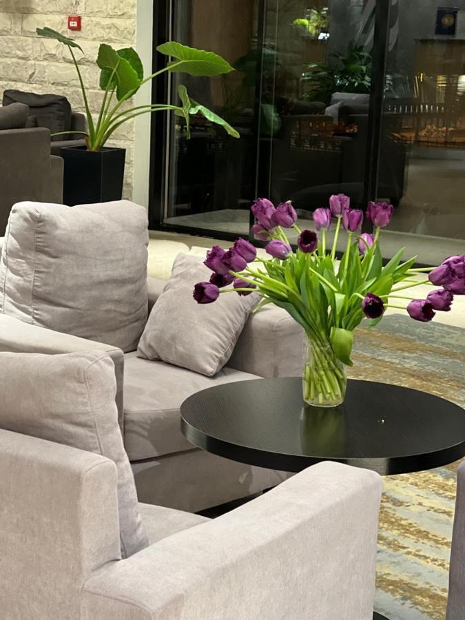 Abaash Hotel Afon New Athos Dış mekan fotoğraf